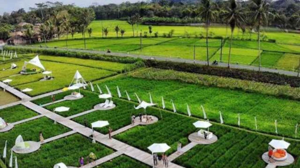kuliner magelang hits